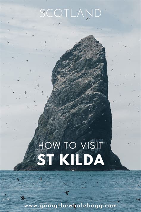 w4m st kilda|HOW TO VISIT ST KILDA